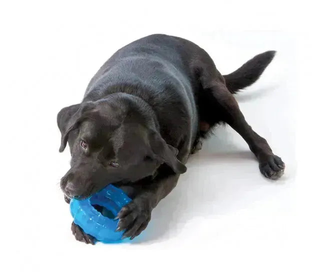 OKRA Tire Chew Toy