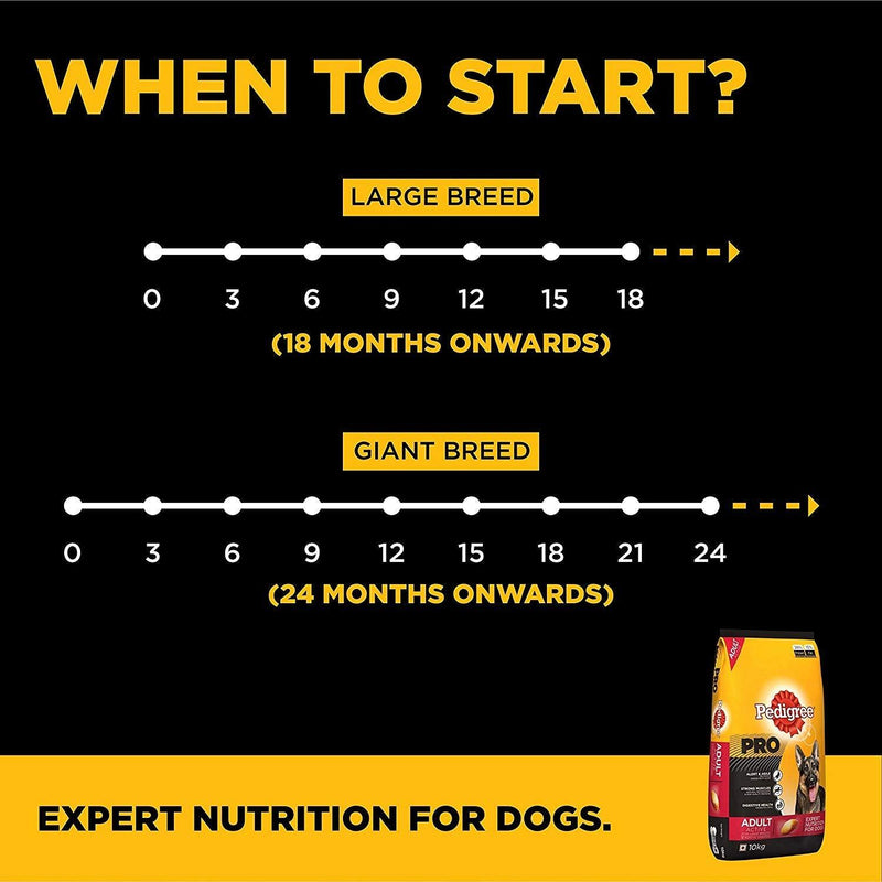 Pedigree Pro Expert Nutrition Active Adult - PetsCura