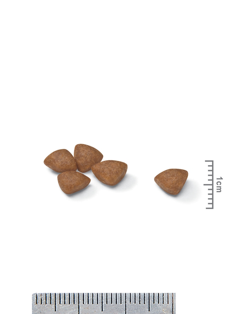 Royal Canin Mini Starter Mother & Baby dog