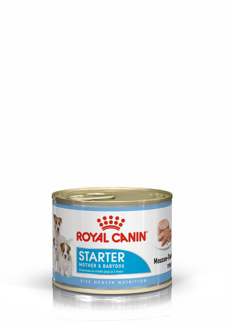 Royal Canin Starter Mousse Mother & Babydog