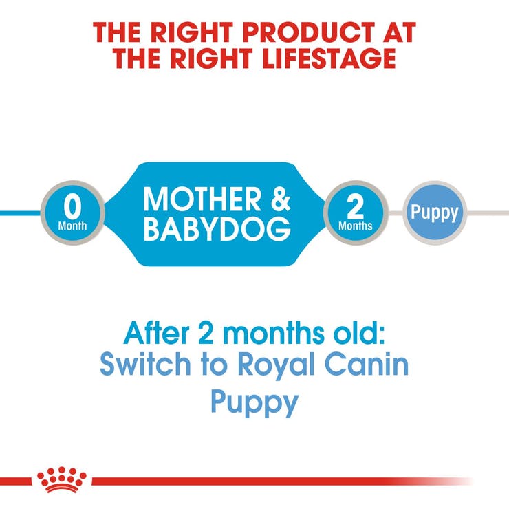 Royal Canin Starter Mousse Mother & Babydog