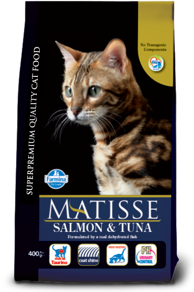 Matisse SALMON & TUNA Dry Cat Food - PetsCura