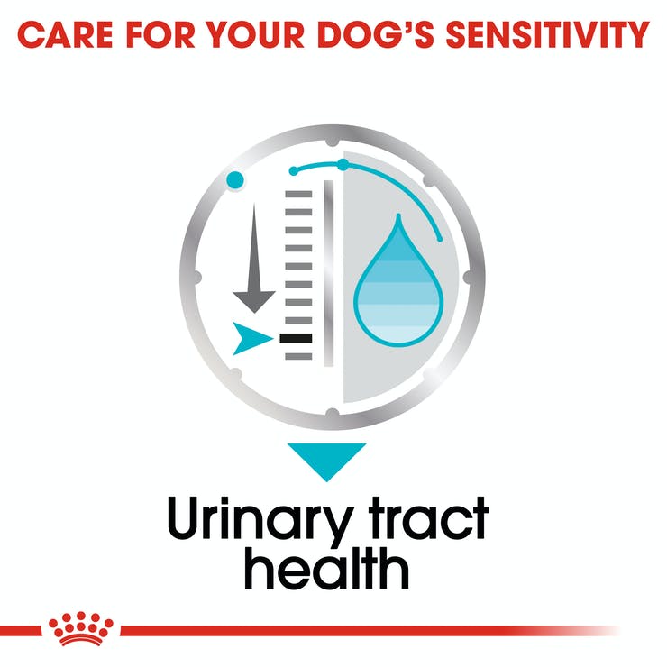 Royal canin Urinary Care Canine Loaf 12 x 85 gms