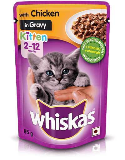Whiskas Kitten Chicken in Gravy - PetsCura
