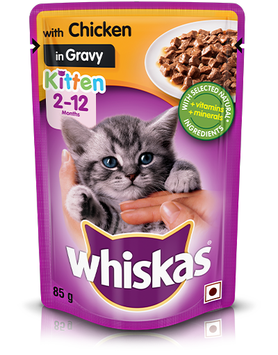 Whiskas Kitten Chicken in Gravy