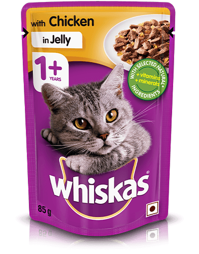 Whiskas Adult Chicken in Jelly - PetsCura