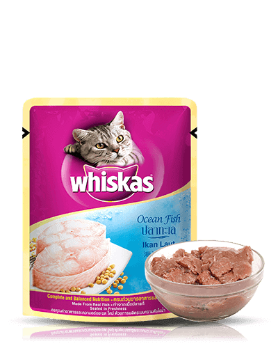 Whiskas Ocean Fish Gravy Wet Food - PetsCura