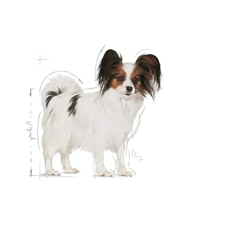 Royal Canin X- Small Adult - PetsCura