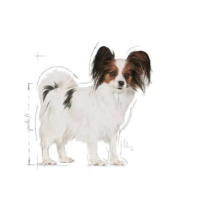 Royal Canin X- Small Adult - PetsCura