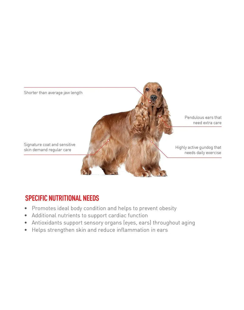 Royal Canin Cocker Spaniel Adult - PetsCura