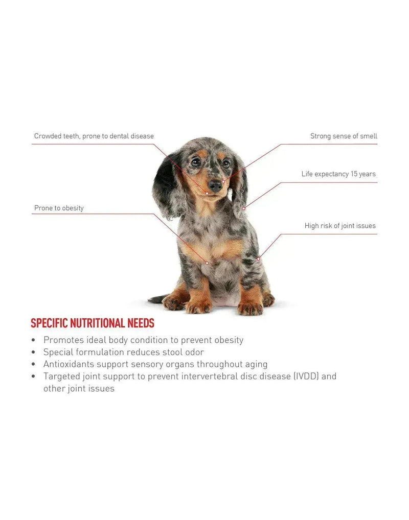 Royal Canin Dachshund Adult - PetsCura