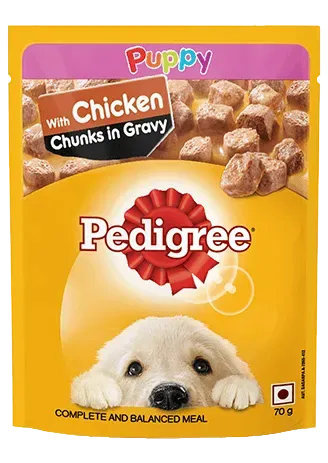 Pedigree Gravy Puppy Chicken Chunks - PetsCura